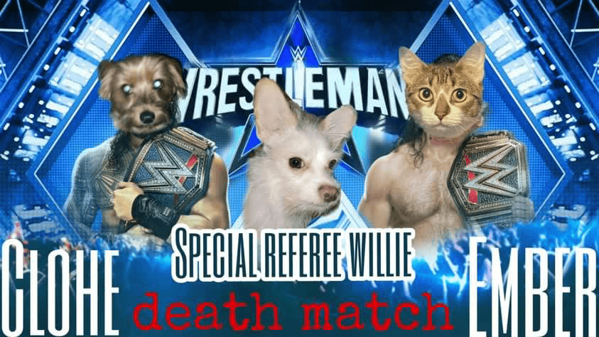 Poll image