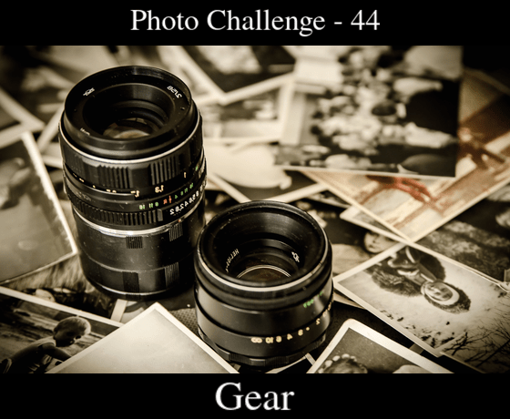 Poll image