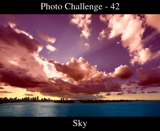 Poll image