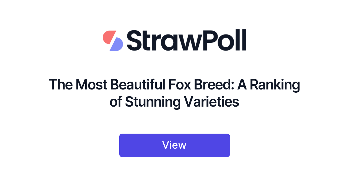 The Most Beautiful Fox Breed, Ranked - StrawPoll