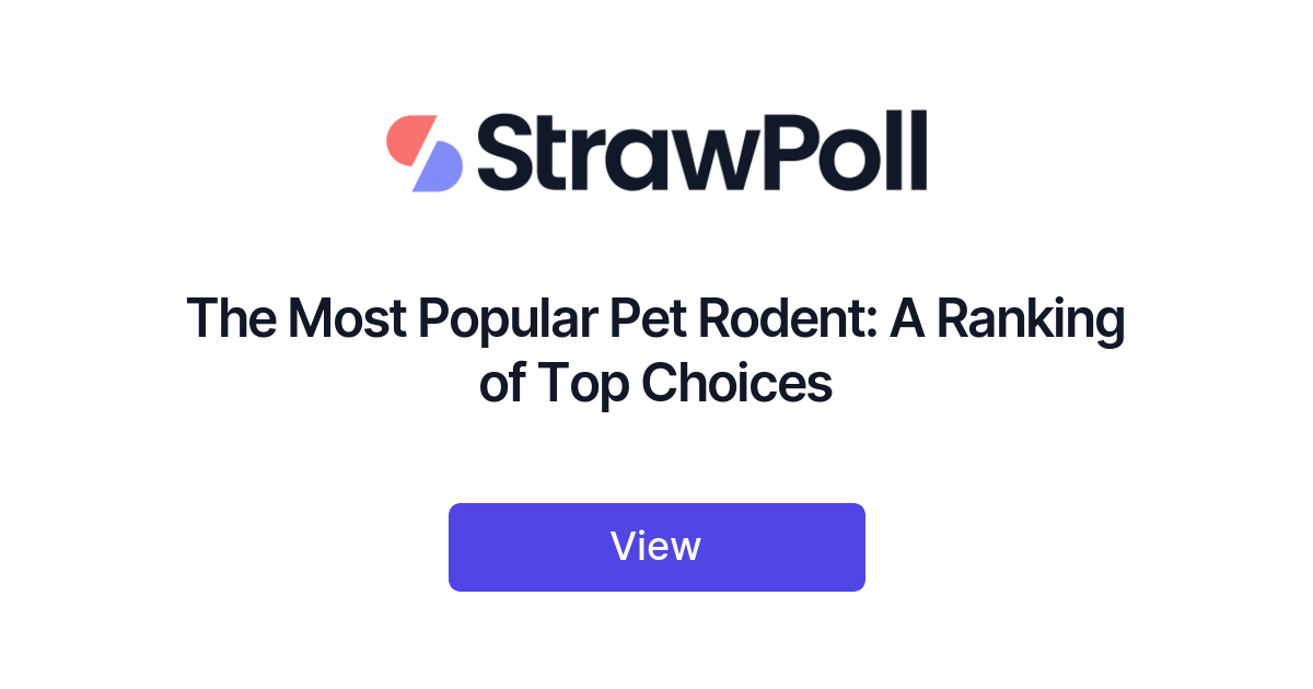 The Most Popular Pet Rodent, Ranked
